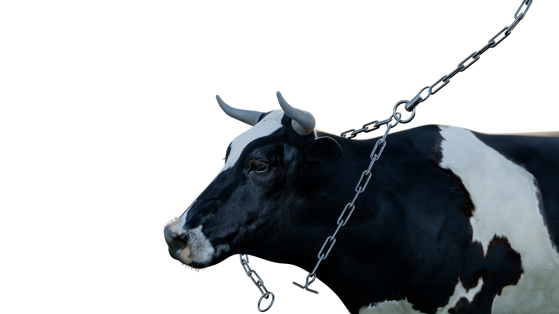 Цепи для привязи крупного рогатого скота
